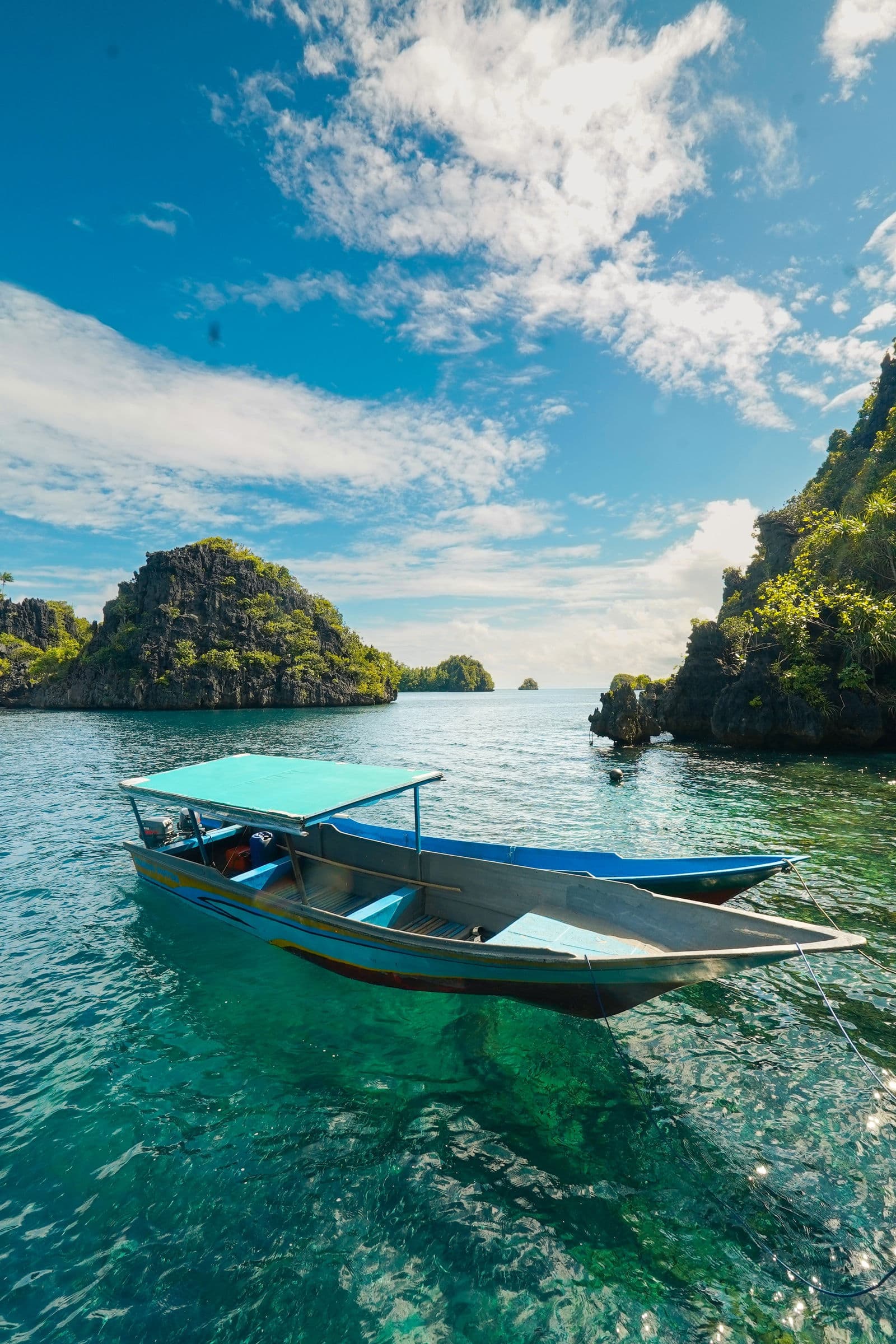 Penguins in Antarctica
