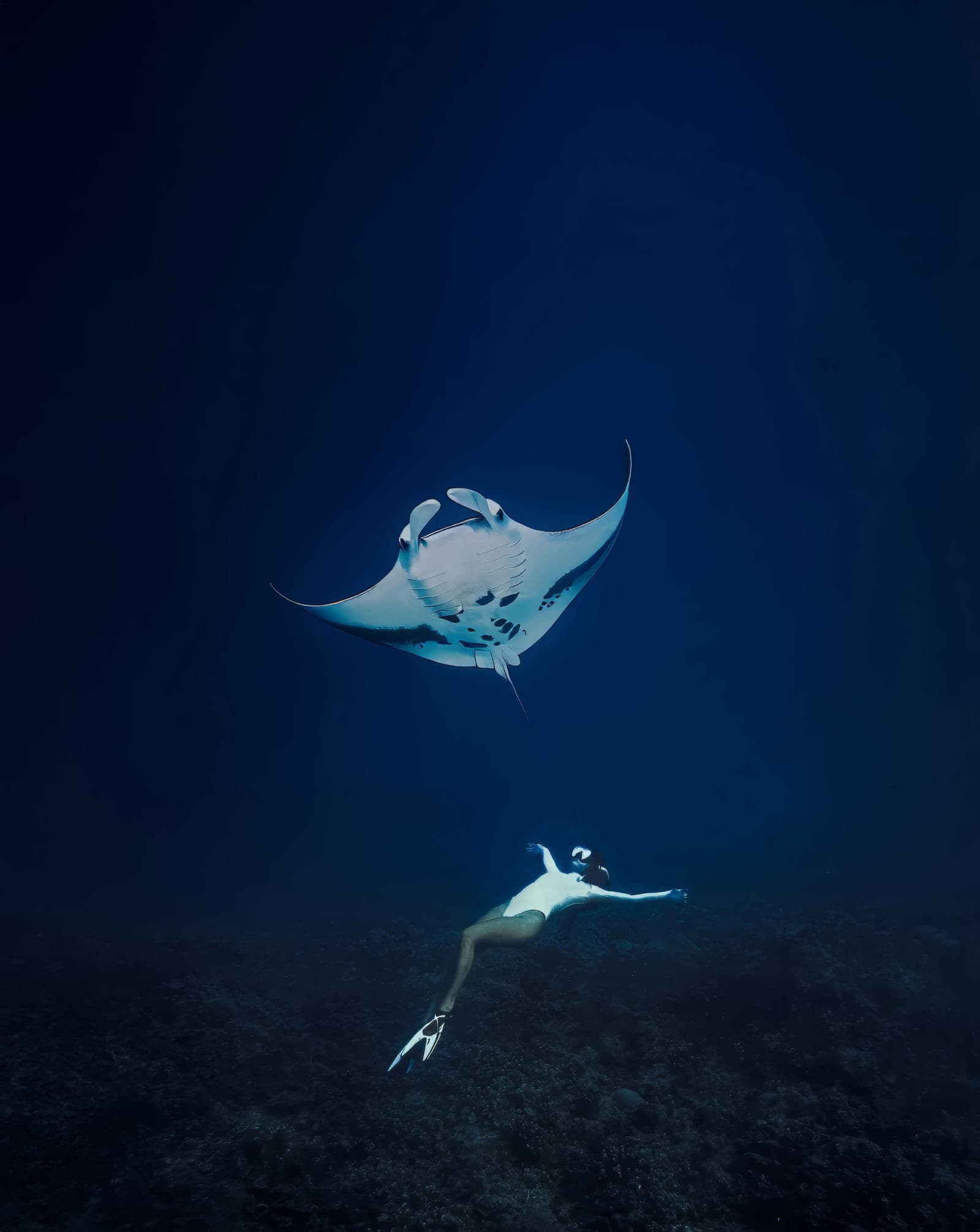 Kimbe Bay, Papua New Guinea